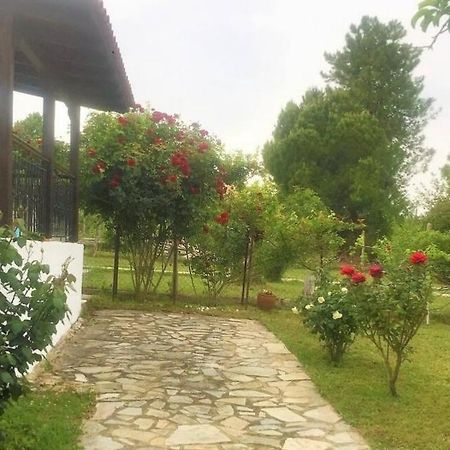 Katerina'S Holiday Home กริโอปียี ภายนอก รูปภาพ