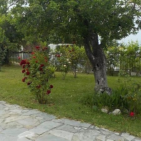 Katerina'S Holiday Home กริโอปียี ภายนอก รูปภาพ