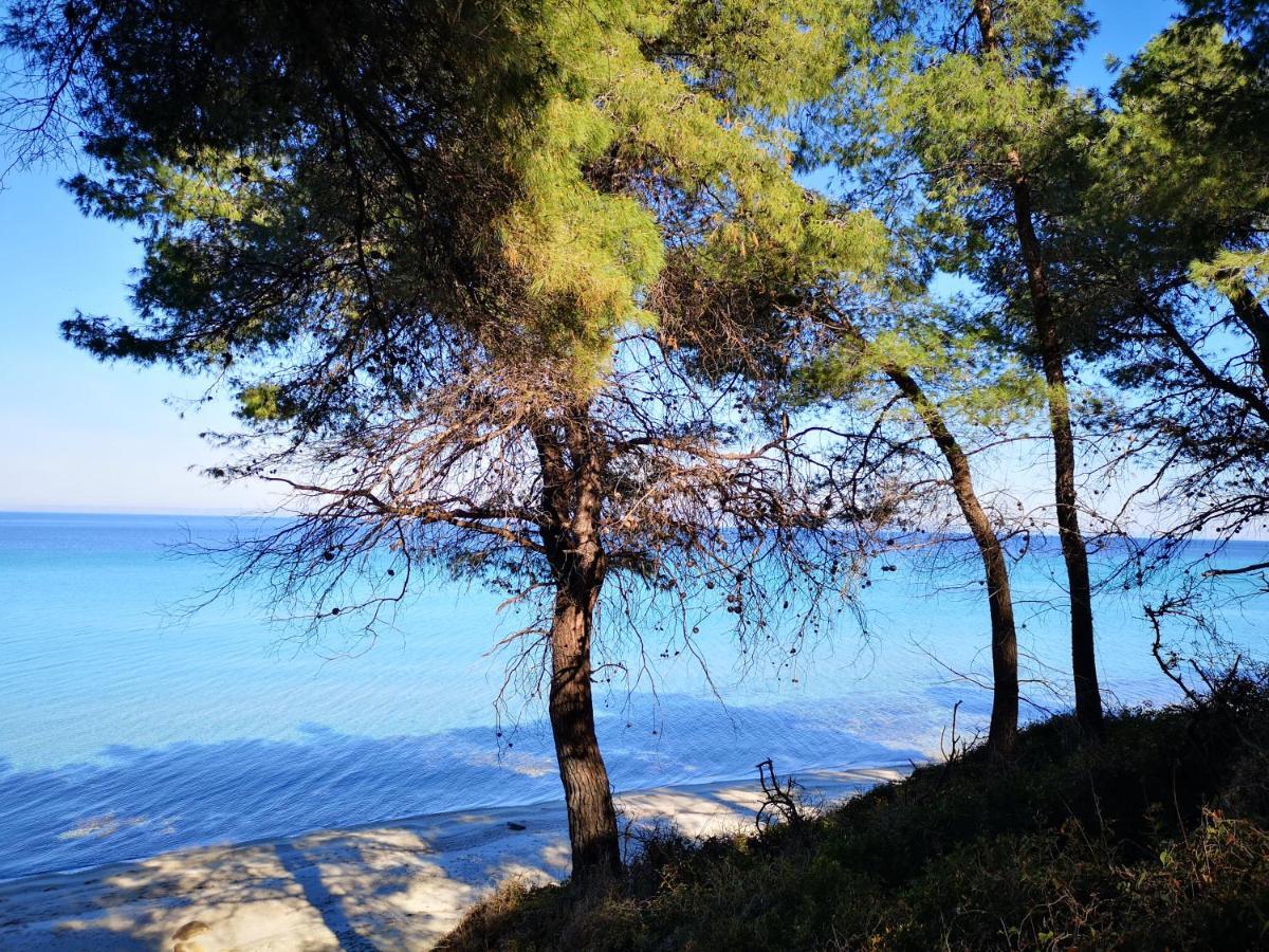 Katerina'S Holiday Home กริโอปียี ภายนอก รูปภาพ